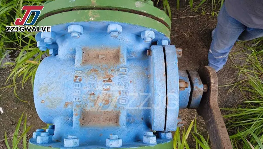 High Performance Plug Valves