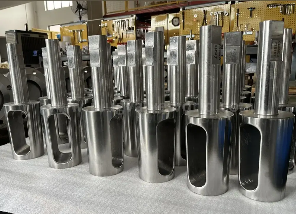 Plug Valves Disk
