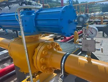 Forged Integrated Plug Valve Case 3