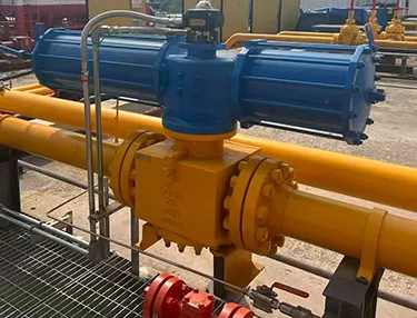 Forged Integrated Plug Valve Case 2