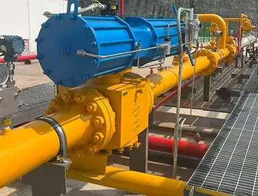 Forged Integrated Plug Valve Case 1