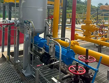 Forged Integrated Plug Valve Case 4