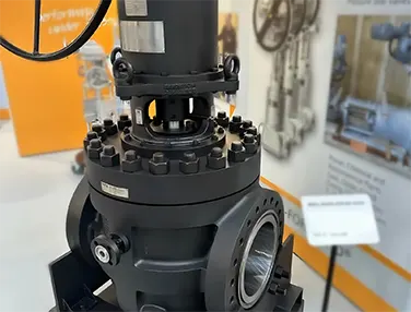 API Lift Plug Valve Case 1