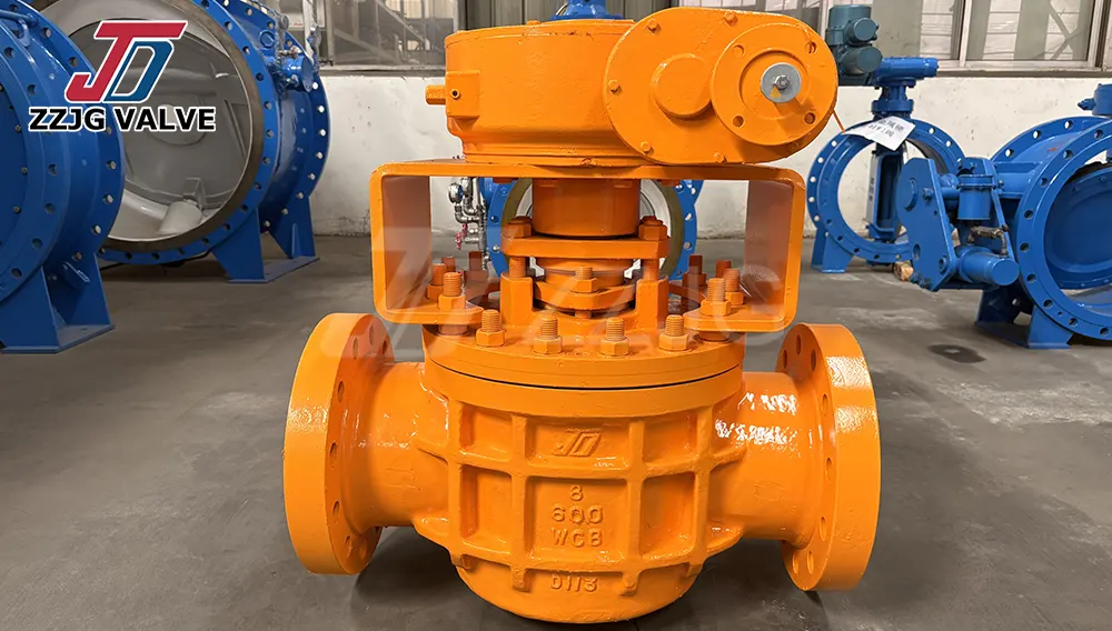 South African Valve Clients Visit Plug Valve Factory