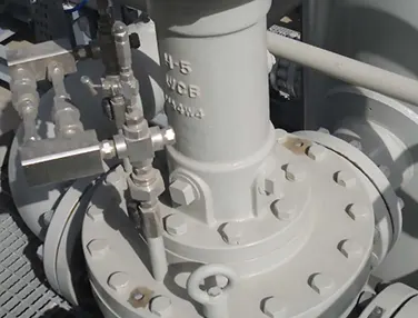 4-way Diverter Plug Valve Case 3