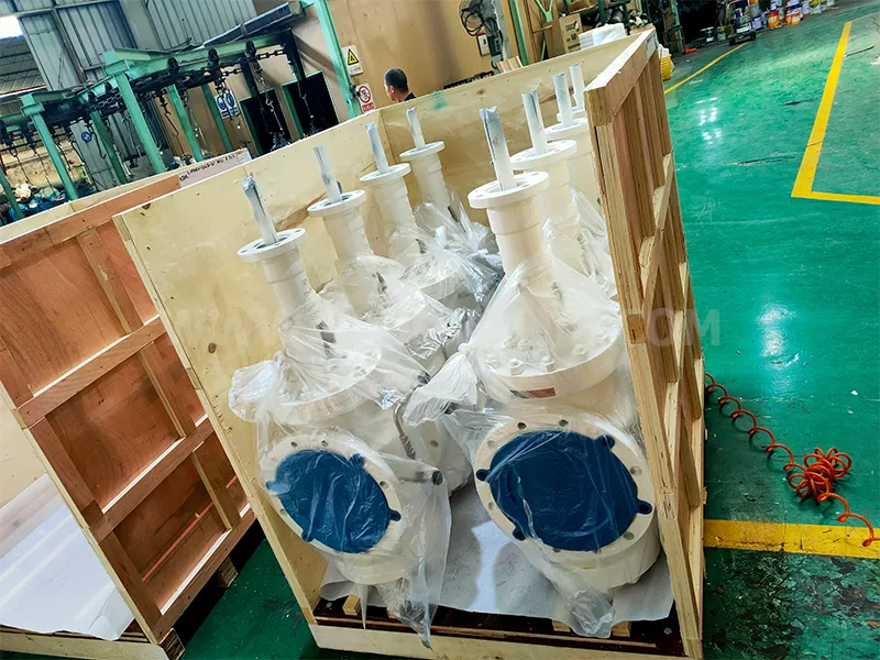 Double Block and Bleed Plug Valve