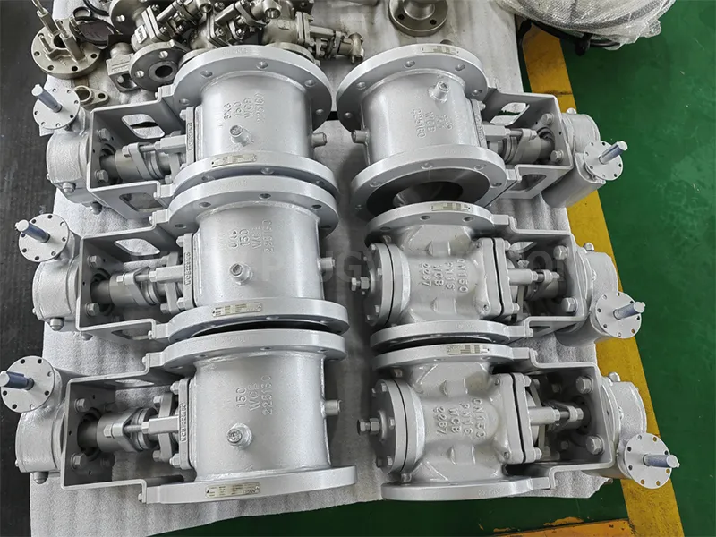 Worm Gear Plug Valve