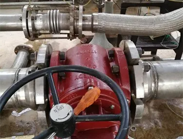 Soft Sealing Plug Valve Case 3