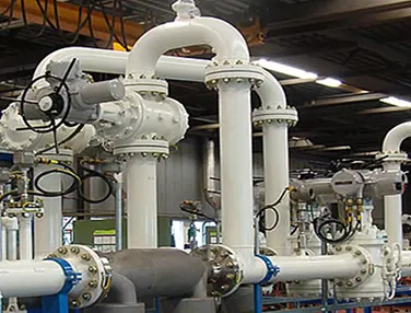 Soft Sealing Plug Valve Case 4