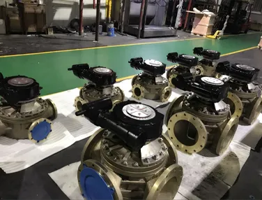 4 Way Plug Valve Case 1