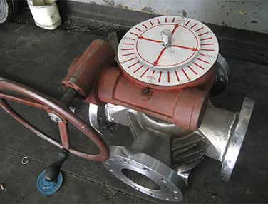4 Way Plug Valve Case 4