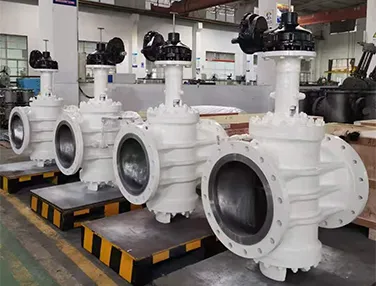 Orbit Plug Valve Case 3