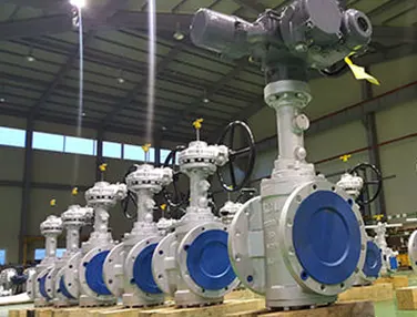 Orbit Plug Valve Case 4