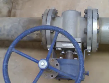 High Performance Plug Valve Case 1