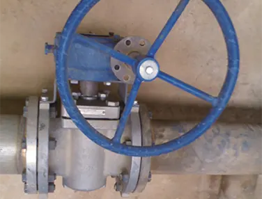 High Performance Plug Valve Case 2