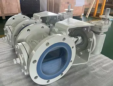 Lined Plug Valve Case 2