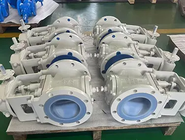 Lined Plug Valve Case 3