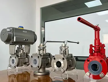 Lined Plug Valve Case 4