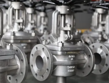 Lifting Plug Valve Case 1