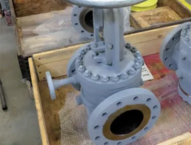 Lifting Plug Valve Case 4