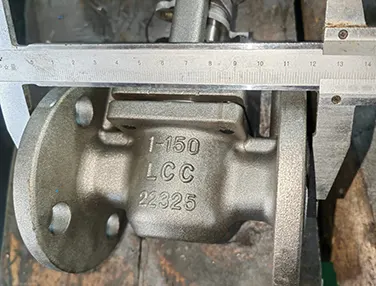 Special Material Plug Valve Case 1