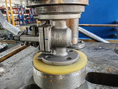 Special Material Plug Valve Case 2