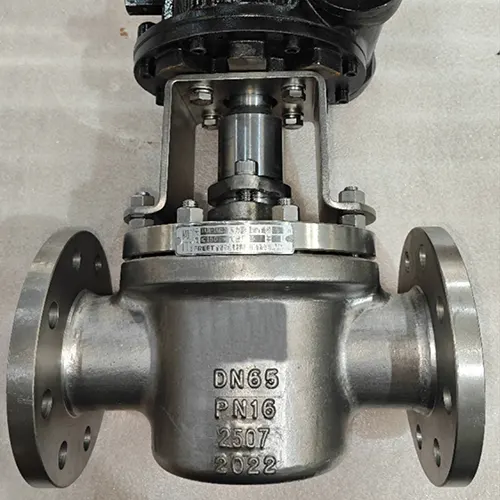 Special Material Plug Valve 4