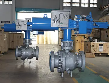 Floating Ball Valve Case 3
