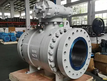 Trunnion Mounted Ball Valve Case 4