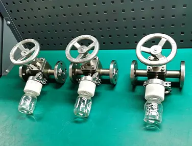 Sampling Valve Case 2