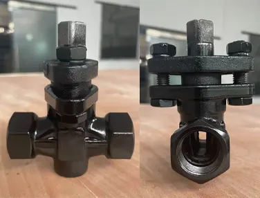 Threaded Plug Valve Case 2