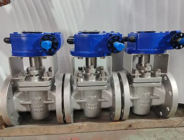Non Lubricated Plug Valve Case 1
