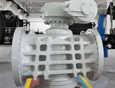 Pressure Balance Plug Valve Case 1