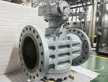 Elastic Seat Plug Valve Case 1