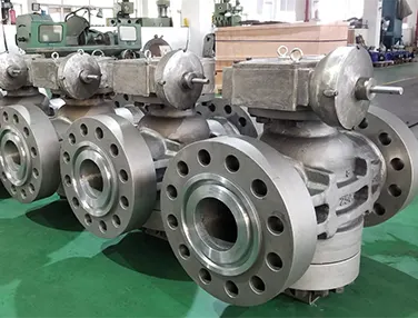 Pressure Balance Plug Valve Case 3
