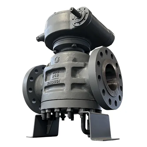 Pressure Balance Plug Valve