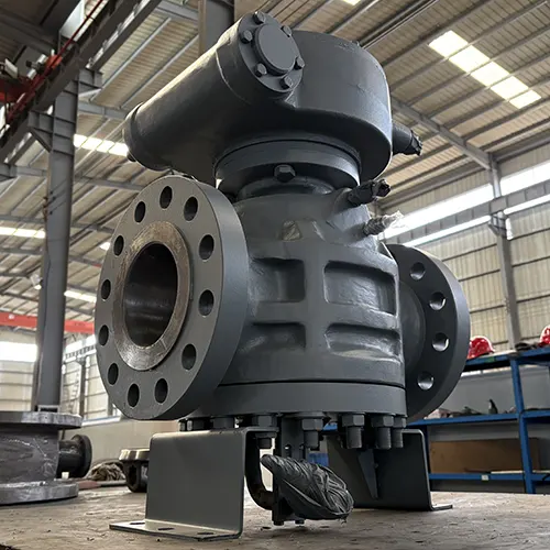 Pressure Balance Plug Valve 2