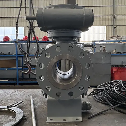 Pressure Balance Plug Valve 3