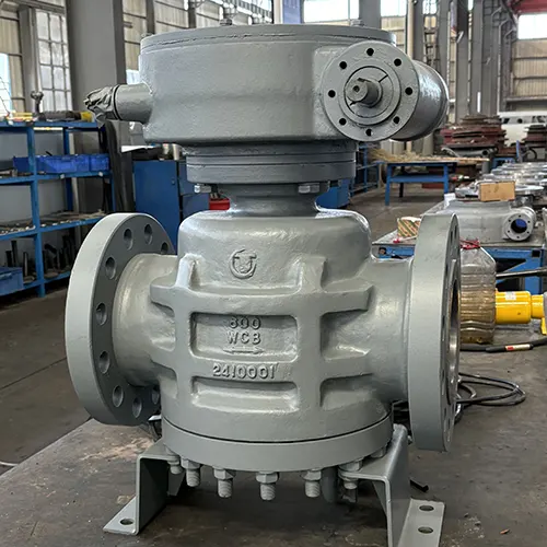 Pressure Balance Plug Valve 4
