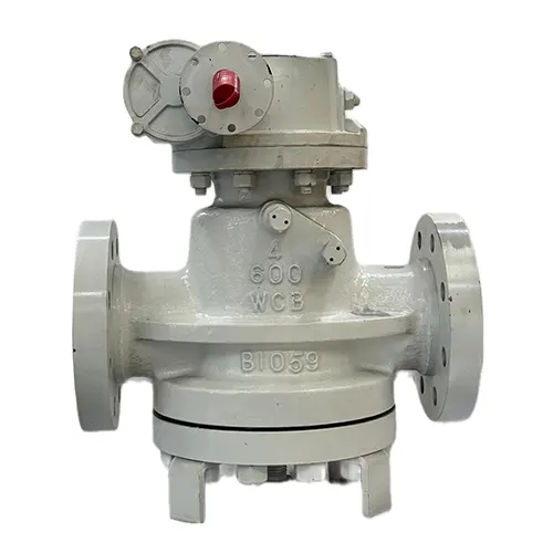 Pressure Balance Plug Valve 2