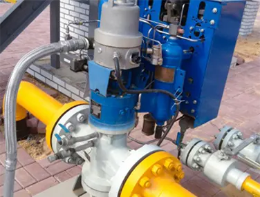 Elastic Seat Plug Valve Case 1