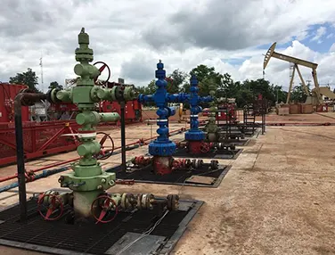 Single Completion Wellhead System Case 1