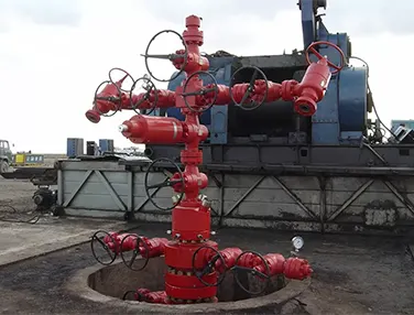 Dual Completion Wellhead System Case 4