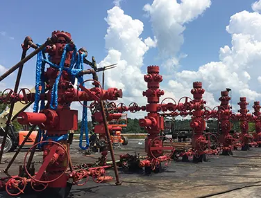Electrical Feed-thru Completion Wellhead System Case 1