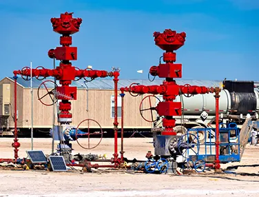 Electrical Feed-thru Completion Wellhead System Case 2