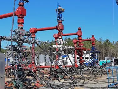 Electrical Feed-thru Completion Wellhead System Case 4