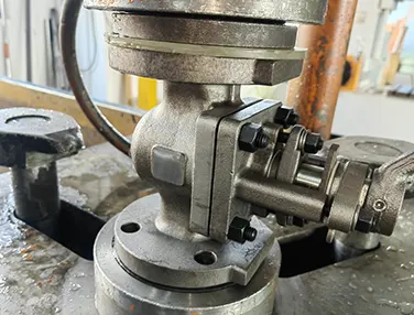 Metal Seat Plug Valve Case 2