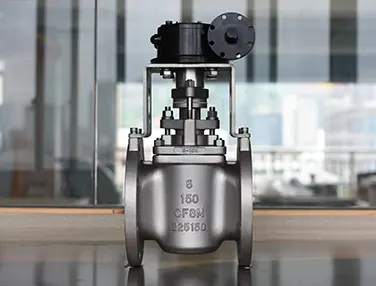 Metal Seat Plug Valve Case 4
