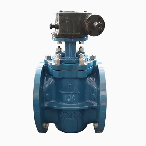 Elastic Seat Plug Valve 3