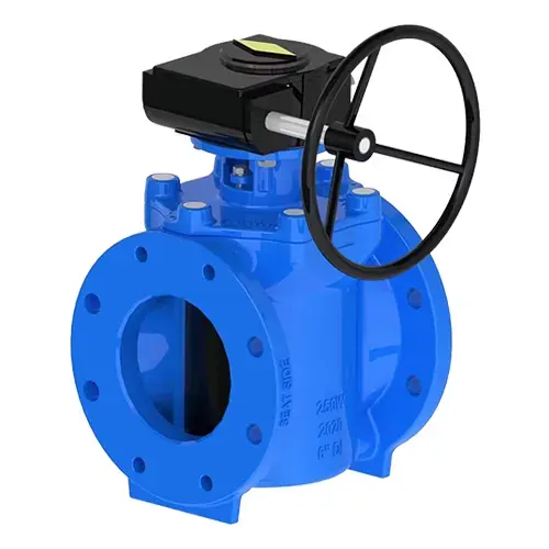 Elastic Seat Eccentric Plug Valve 4